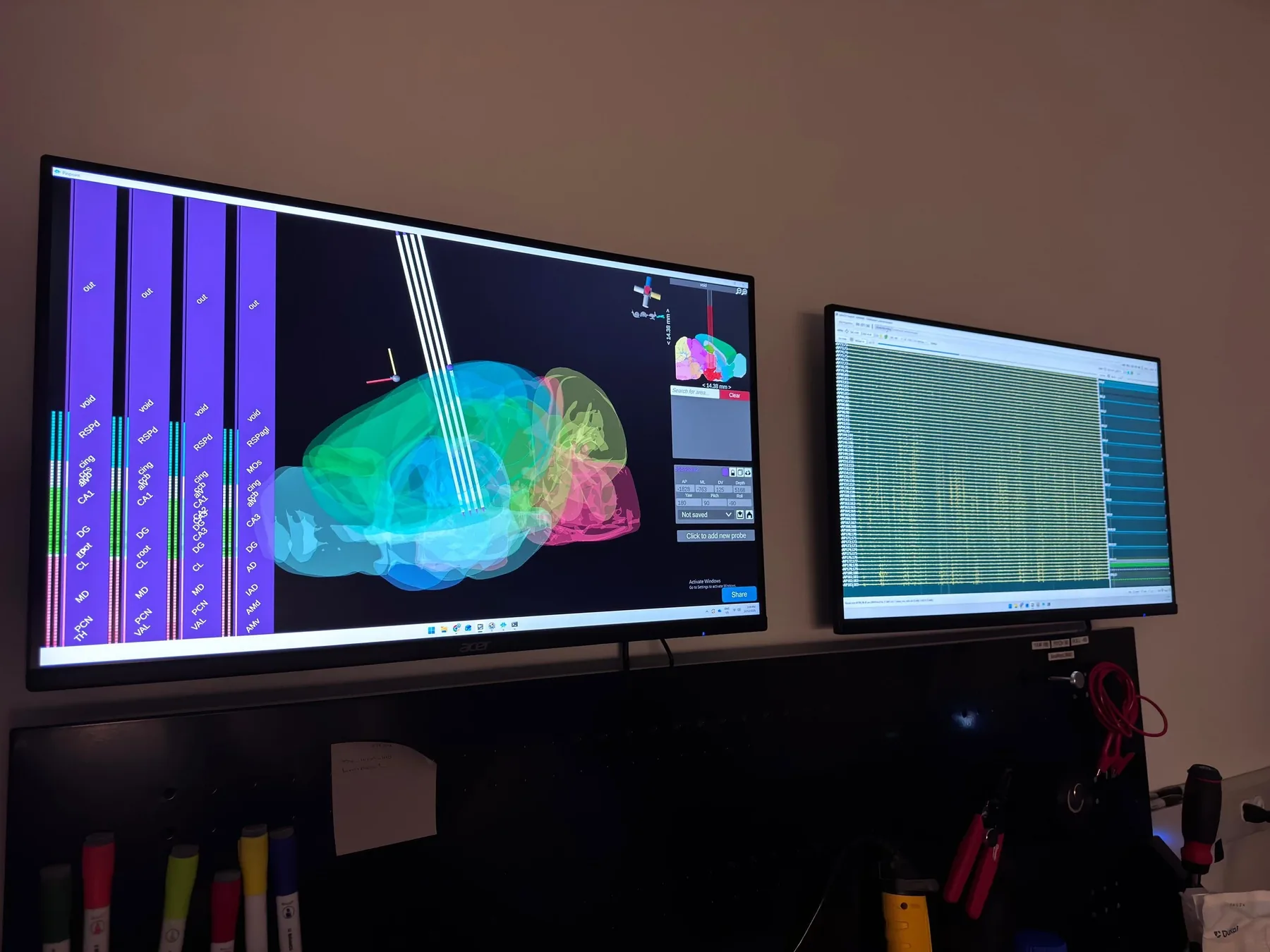 Two monitors showing a 3D brain atlas with probe tracks and live Neuropixels recordings