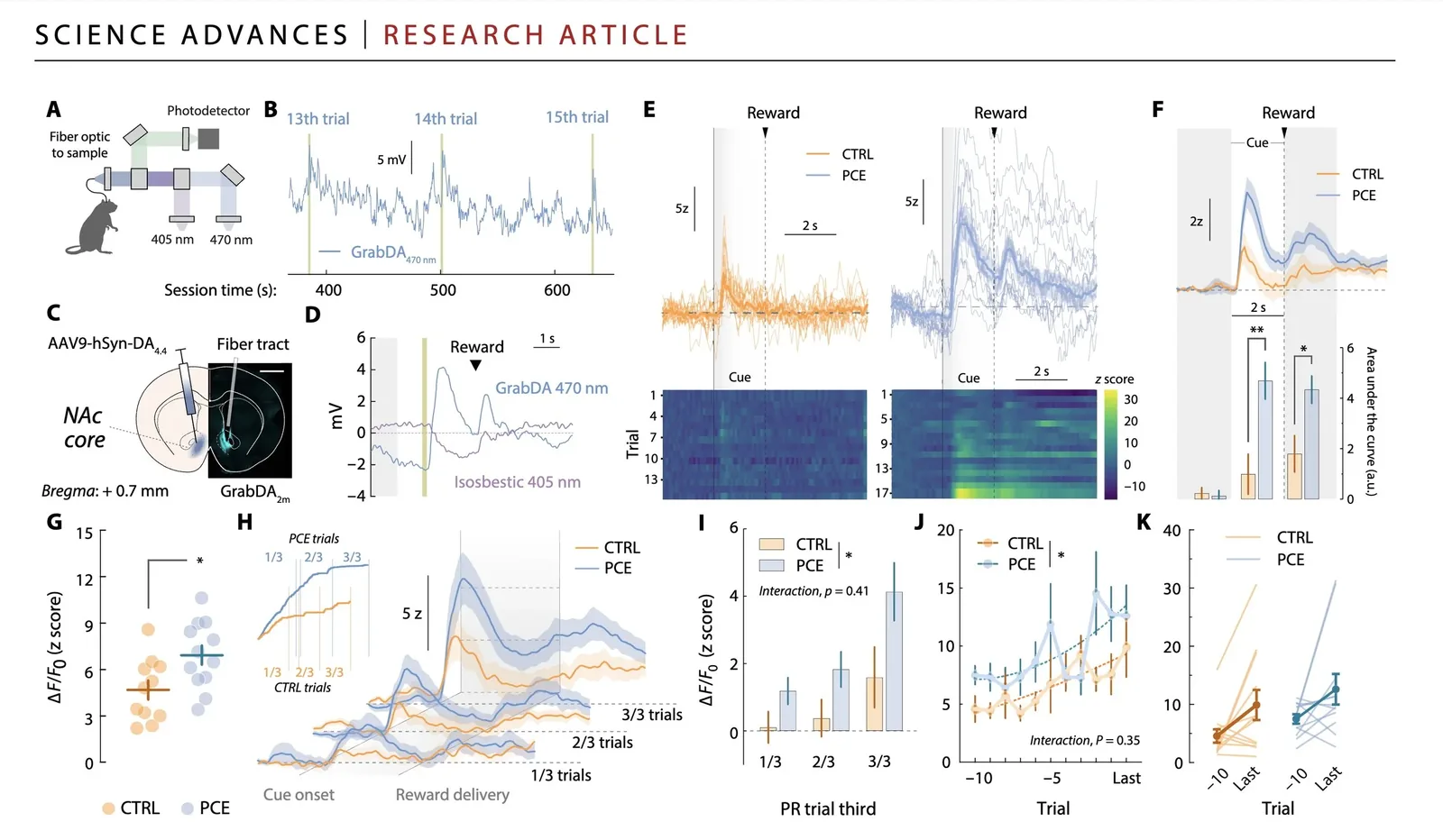 Figure from the 2024 Science Advances paper on accumbal cue responses after prenatal THC exposure